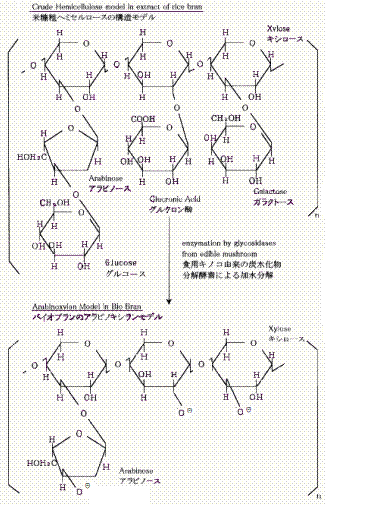 米糠アラビノキシラン誘導体構造式