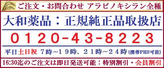 レンチンプラス1000 大和薬品